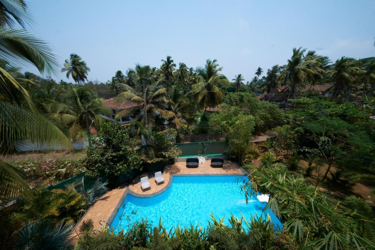Fig House Anjuna-Chapora Road , Siolim 1Bhk Suite Oxel Dış mekan fotoğraf