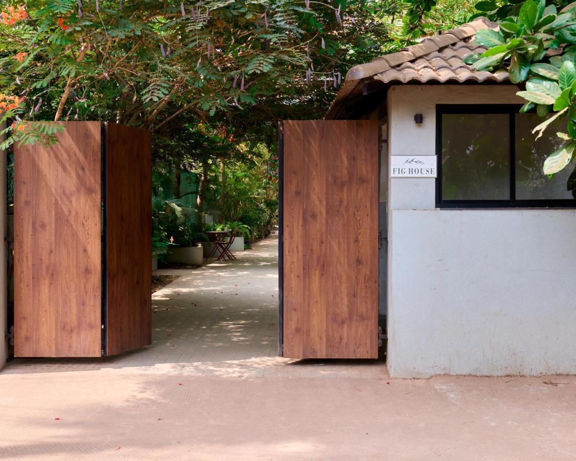 Fig House Anjuna-Chapora Road , Siolim 1Bhk Suite Oxel Dış mekan fotoğraf